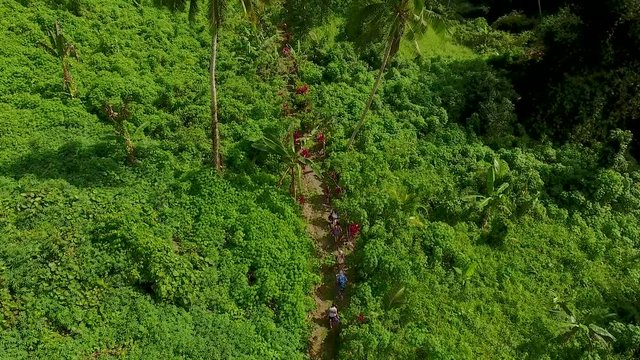 Aerial - Fiji Jungle Waterfall Hike