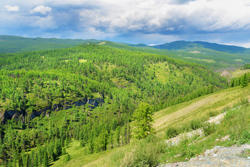 Fototapeta premium View on forest and mountains. Altai Republic. Russia