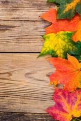 Naklejka na ściany i meble Autumn background with colorful fall maple leaves on rustic wooden table. Concept Thanksgiving holidays