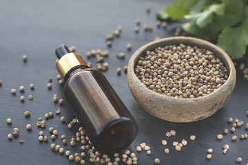 Coriander Seeds Fresh Leaves Essential Oil Medical Herb Health Beauty Treatment Spa Phytotherapy Aromatherapy Alternative Medicine Copy Space Selective Focus Black Background Cosmetic Ingredient