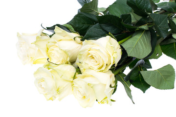 Bouquet of white roses