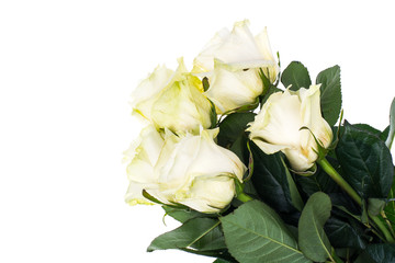 Bouquet of white roses