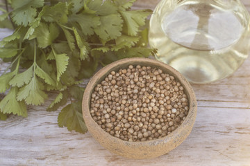 Coriander Seeds Fresh Leaves Oil Medical Herb Health Beauty Treatment Spa Phytotherapy Aromatherapy Alternative Medicine Copy Space Selective Focus Wooden Background Cosmetic Ingredient