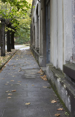 Autumn