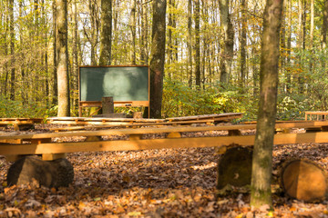 outdoor class room in forest with chalk board and wooden benches for students on tree logs with trees as backdrop