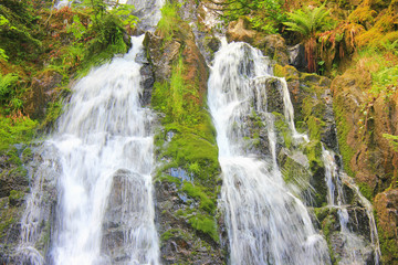 cascade de tendon dans les vosges