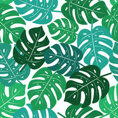 Monstera Leaves Seamless Pattern. Tropical vector texture.