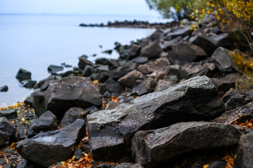 autumn landscape 