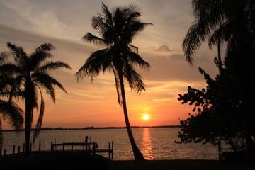 Florida Sundown