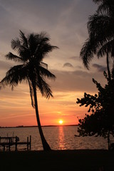 Florida Sundown