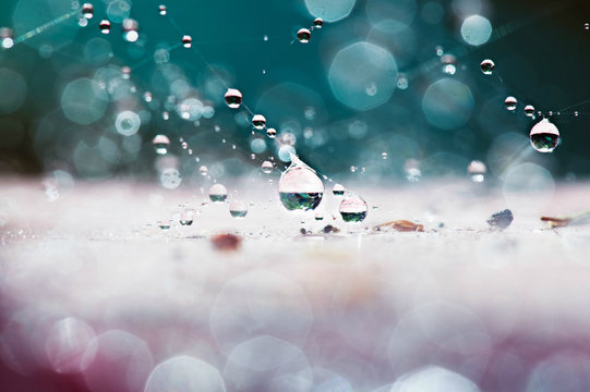 Suspended droplets after the rain