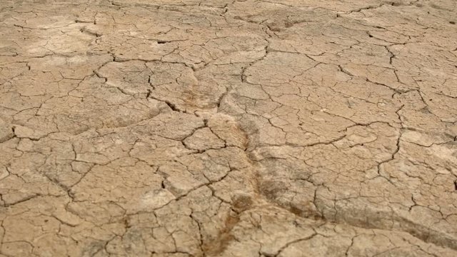Cracked earth dry drought macro Alvord Desert Steens Mountain Near malheur Wildlife Refuge 1