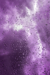Water Drops on Glass, Purple