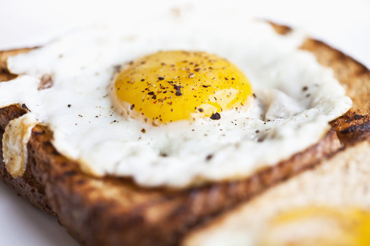 Fried Egg on Toast