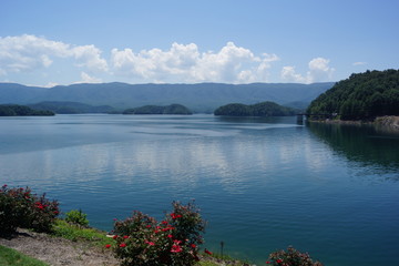 Fototapeta na wymiar View of the lake