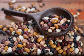Variety of protein rich colorful raw dried beans