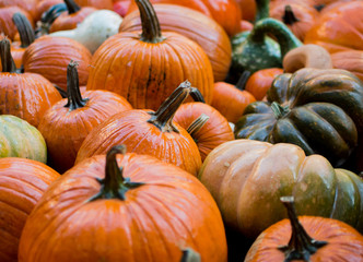 Fall Decoration
