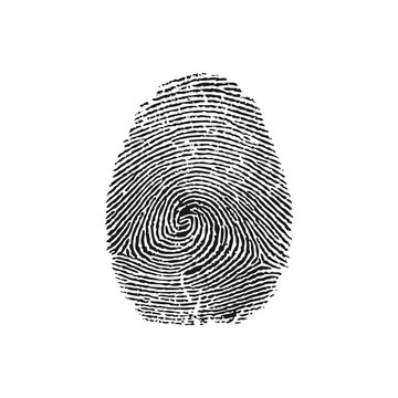 vector illustration of a magnifying glass over a fingerprint