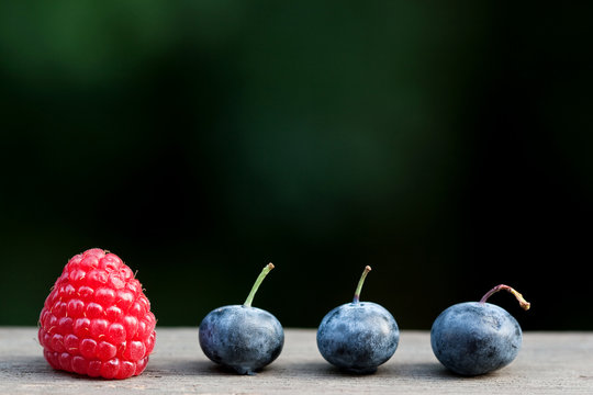 Macro of raspberries and blueberries in a line