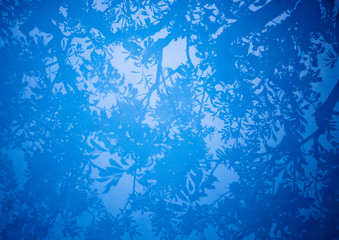 Reflection of a tree in a pool with a blue hue