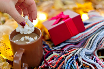 Winter drink recipe, cocoa with marshmallows and red giftbox