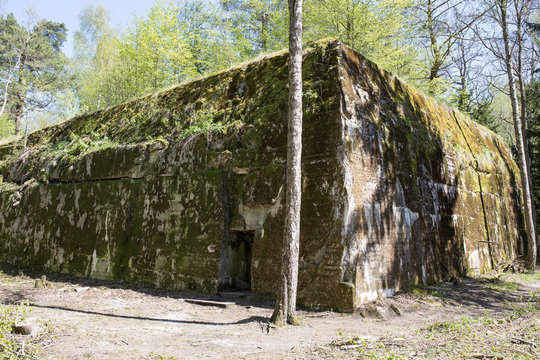 Wolf's Lair, Wolf's Fort