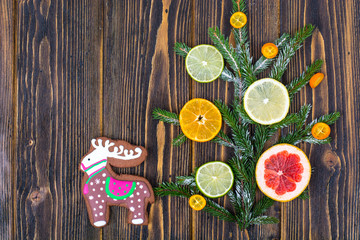 Homemade gingerbread cookies glazed and christmas tree branches with fruits.