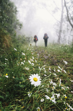 Canyoners Walking Into Bells Creek Canyon, Mt Wilson, Blue Mountains Australia.