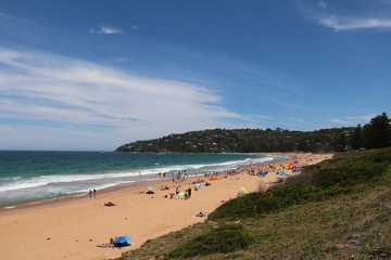 Palm beach in the north of Sydney on the Tasman Sea, Australia