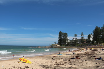 Dee Why Beach on the Tasman Sea in Sydney, Australia