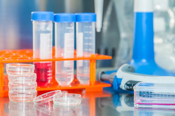 Laboratory materials in a safety laminar air flow cabinet at laboratory