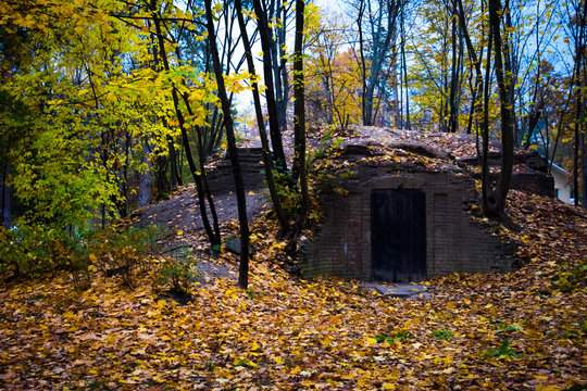  old cellar in the autumn forest