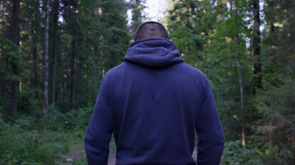 Rear view of male hiker standing in forest. Hooded young man standing in the forest and exploring,...