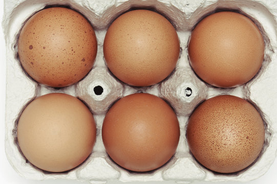 Sixpack Eggs