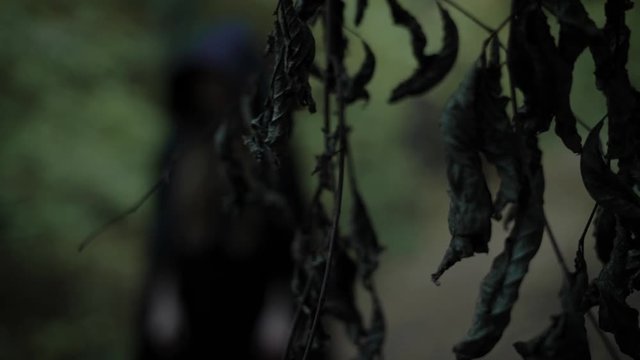 Spooky woman is standing in forest.