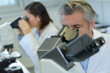 Lab technicians using microscopes