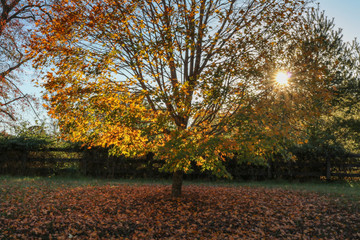 Fall in rural Virginia