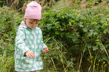 Dziewczynka zbiera ostrężyny w lesie. - obrazy, fototapety, plakaty