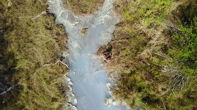 Top down view of hot spring flowing downstream to stagnant pool with aglae blooming.