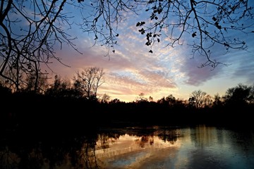 Obraz premium Picture of magic autumn landscape / Sunset blue sky with white clouds, pink color over a pond with water reflection and black trees, branches hanging down