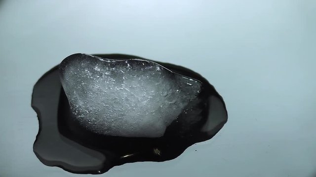 The curious ant runs past the melting ice cube in fast motion. Time lapse melting ice and turning it into water