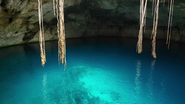 Young people swimming in cenote