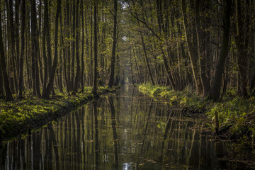 Spreewald I