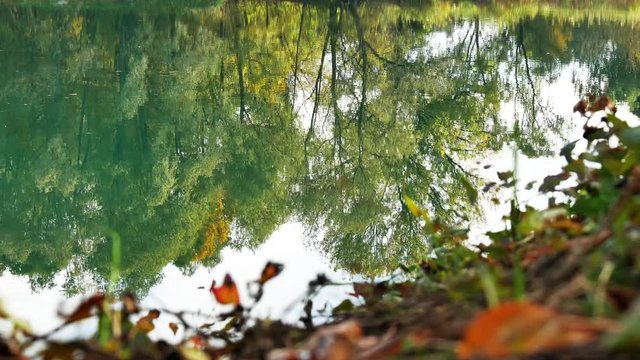 reflected on the river