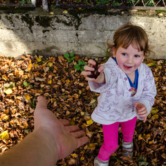 Mała dziewczynka zbiera kasztany w jesiennym parku.