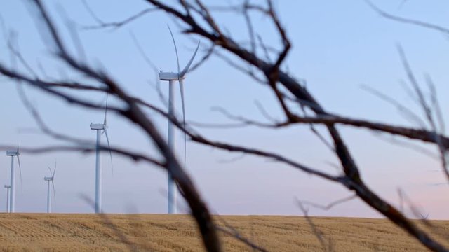 Desert field renewable green energy 5 Windmills Oregon 05