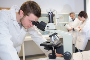 Naklejka na ściany i meble medical students working with microscope at the university