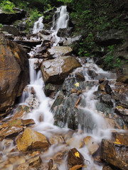 Waterfall at the carpatian mountains green forest