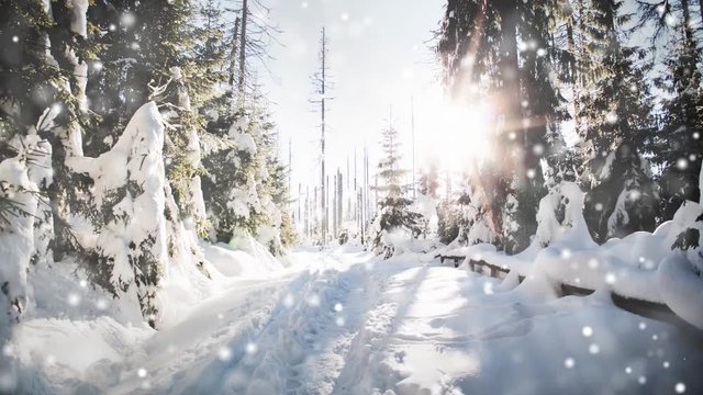 Winterliche Landschaft im Wald mit Schnee