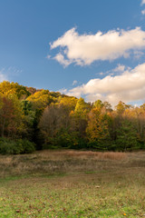 Scarlet Oak Pond Trail